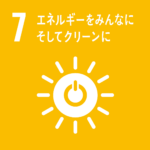 SDG 7